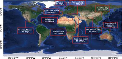 Groundwater salinization under the influence of paleo sea-level fluctuation: a case study in southern Laizhou Bay, China